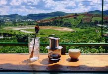 Những quán cà phê tuyệt đẹp dành cho du khách du lịch Đà Lạt